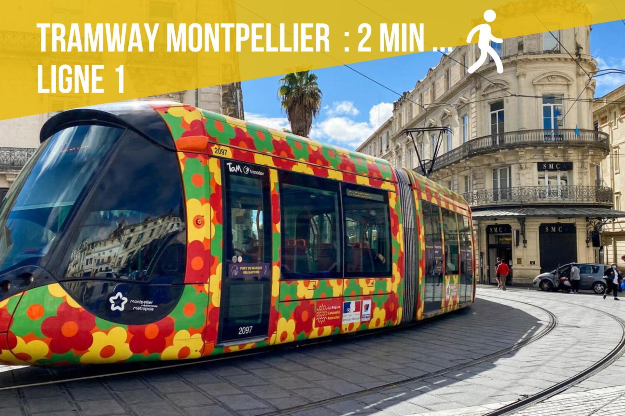 Le Chapeau Rouge - Centre Historique - Corum - Tramway - Climatisation Montpellier Exterior foto